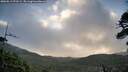 ./images/calvert/fitz-hugh-hecate/20260511/fitz-hugh-hecate20260511_072501M.jpg