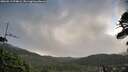 ./images/calvert/fitz-hugh-hecate/20260511/fitz-hugh-hecate20260511_074001M.jpg