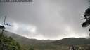 ./images/calvert/fitz-hugh-hecate/20260511/fitz-hugh-hecate20260511_081001M.jpg