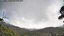 ./images/calvert/fitz-hugh-hecate/20260511/fitz-hugh-hecate20260511_081501M.jpg