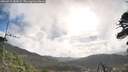 ./images/calvert/fitz-hugh-hecate/20260511/fitz-hugh-hecate20260511_082001M.jpg