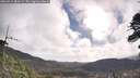 ./images/calvert/fitz-hugh-hecate/20260511/fitz-hugh-hecate20260511_083501M.jpg