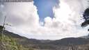 ./images/calvert/fitz-hugh-hecate/20260511/fitz-hugh-hecate20260511_085501M.jpg