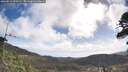 ./images/calvert/fitz-hugh-hecate/20260511/fitz-hugh-hecate20260511_090501M.jpg