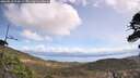 ./images/calvert/fitz-hugh-hecate/20260511/fitz-hugh-hecate20260511_114501M.jpg