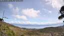 ./images/calvert/fitz-hugh-hecate/20260511/fitz-hugh-hecate20260511_115501M.jpg