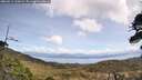 ./images/calvert/fitz-hugh-hecate/20260511/fitz-hugh-hecate20260511_120002M.jpg