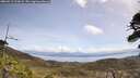 ./images/calvert/fitz-hugh-hecate/20260511/fitz-hugh-hecate20260511_121002M.jpg
