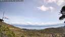 ./images/calvert/fitz-hugh-hecate/20260511/fitz-hugh-hecate20260511_121502M.jpg