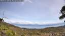 ./images/calvert/fitz-hugh-hecate/20260511/fitz-hugh-hecate20260511_125001M.jpg