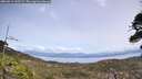 ./images/calvert/fitz-hugh-hecate/20260511/fitz-hugh-hecate20260511_132501M.jpg