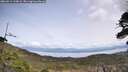 ./images/calvert/fitz-hugh-hecate/20260511/fitz-hugh-hecate20260511_134001M.jpg