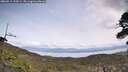 ./images/calvert/fitz-hugh-hecate/20260511/fitz-hugh-hecate20260511_134501M.jpg