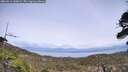 ./images/calvert/fitz-hugh-hecate/20260511/fitz-hugh-hecate20260511_145001M.jpg