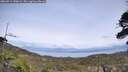 ./images/calvert/fitz-hugh-hecate/20260511/fitz-hugh-hecate20260511_150001M.jpg