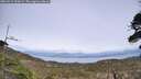 ./images/calvert/fitz-hugh-hecate/20260511/fitz-hugh-hecate20260511_154501M.jpg