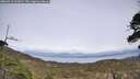 ./images/calvert/fitz-hugh-hecate/20260511/fitz-hugh-hecate20260511_161001M.jpg