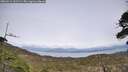 ./images/calvert/fitz-hugh-hecate/20260511/fitz-hugh-hecate20260511_161501M.jpg