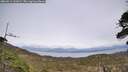 ./images/calvert/fitz-hugh-hecate/20260511/fitz-hugh-hecate20260511_162002M.jpg