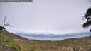 ./images/calvert/fitz-hugh-hecate/20260511/fitz-hugh-hecate20260511_163502M.jpg