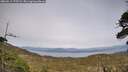 ./images/calvert/fitz-hugh-hecate/20260511/fitz-hugh-hecate20260511_175502M.jpg