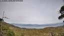 ./images/calvert/fitz-hugh-hecate/20260511/fitz-hugh-hecate20260511_180501M.jpg