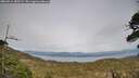 ./images/calvert/fitz-hugh-hecate/20260511/fitz-hugh-hecate20260511_182502M.jpg