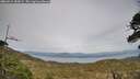 ./images/calvert/fitz-hugh-hecate/20260511/fitz-hugh-hecate20260511_183001M.jpg