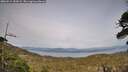 ./images/calvert/fitz-hugh-hecate/20260511/fitz-hugh-hecate20260511_184502M.jpg