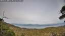 ./images/calvert/fitz-hugh-hecate/20260511/fitz-hugh-hecate20260511_185001M.jpg