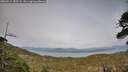 ./images/calvert/fitz-hugh-hecate/20260511/fitz-hugh-hecate20260511_185501M.jpg