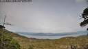 ./images/calvert/fitz-hugh-hecate/20260511/fitz-hugh-hecate20260511_190001M.jpg