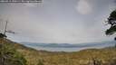 ./images/calvert/fitz-hugh-hecate/20260511/fitz-hugh-hecate20260511_190501M.jpg