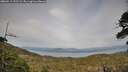 ./images/calvert/fitz-hugh-hecate/20260511/fitz-hugh-hecate20260511_191501M.jpg