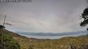./images/calvert/fitz-hugh-hecate/20260511/fitz-hugh-hecate20260511_192502M.jpg
