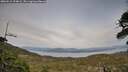 ./images/calvert/fitz-hugh-hecate/20260511/fitz-hugh-hecate20260511_194001M.jpg