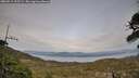 ./images/calvert/fitz-hugh-hecate/20260511/fitz-hugh-hecate20260511_195501M.jpg