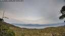 ./images/calvert/fitz-hugh-hecate/20260511/fitz-hugh-hecate20260511_200501M.jpg