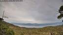 ./images/calvert/fitz-hugh-hecate/20260511/fitz-hugh-hecate20260511_202001M.jpg