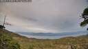 ./images/calvert/fitz-hugh-hecate/20260511/fitz-hugh-hecate20260511_203001M.jpg