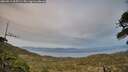 ./images/calvert/fitz-hugh-hecate/20260511/fitz-hugh-hecate20260511_205501M.jpg