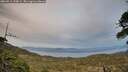 ./images/calvert/fitz-hugh-hecate/20260511/fitz-hugh-hecate20260511_210001M.jpg