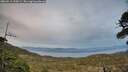./images/calvert/fitz-hugh-hecate/20260511/fitz-hugh-hecate20260511_210501M.jpg