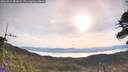 ./images/calvert/fitz-hugh-hecate/20260512/fitz-hugh-hecate20260512_081001M.jpg