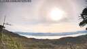 ./images/calvert/fitz-hugh-hecate/20260512/fitz-hugh-hecate20260512_081501M.jpg