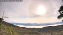 ./images/calvert/fitz-hugh-hecate/20260512/fitz-hugh-hecate20260512_082001M.jpg