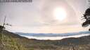 ./images/calvert/fitz-hugh-hecate/20260512/fitz-hugh-hecate20260512_082501M.jpg