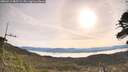 ./images/calvert/fitz-hugh-hecate/20260512/fitz-hugh-hecate20260512_083502M.jpg
