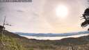 ./images/calvert/fitz-hugh-hecate/20260512/fitz-hugh-hecate20260512_084501M.jpg