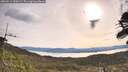 ./images/calvert/fitz-hugh-hecate/20260512/fitz-hugh-hecate20260512_090501M.jpg